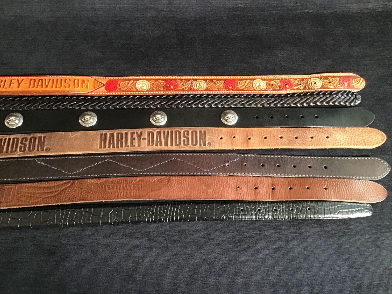 Image for Harley Davidson Belts - Size 36