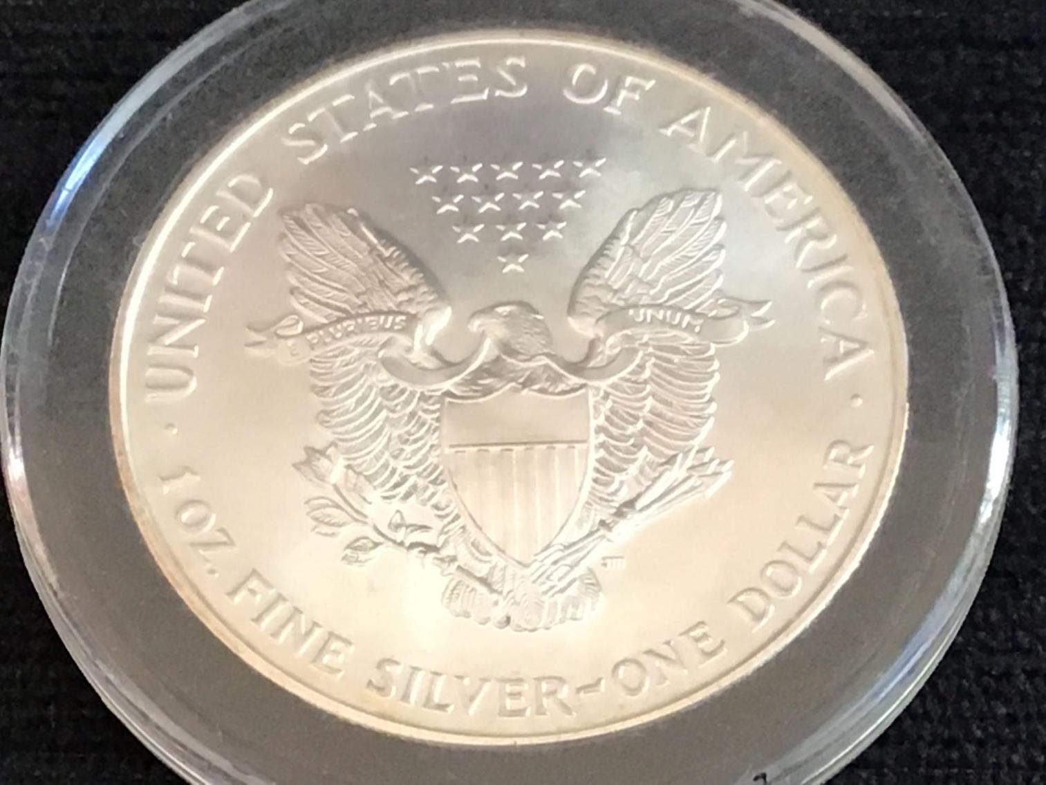 Image for Silver Eagles