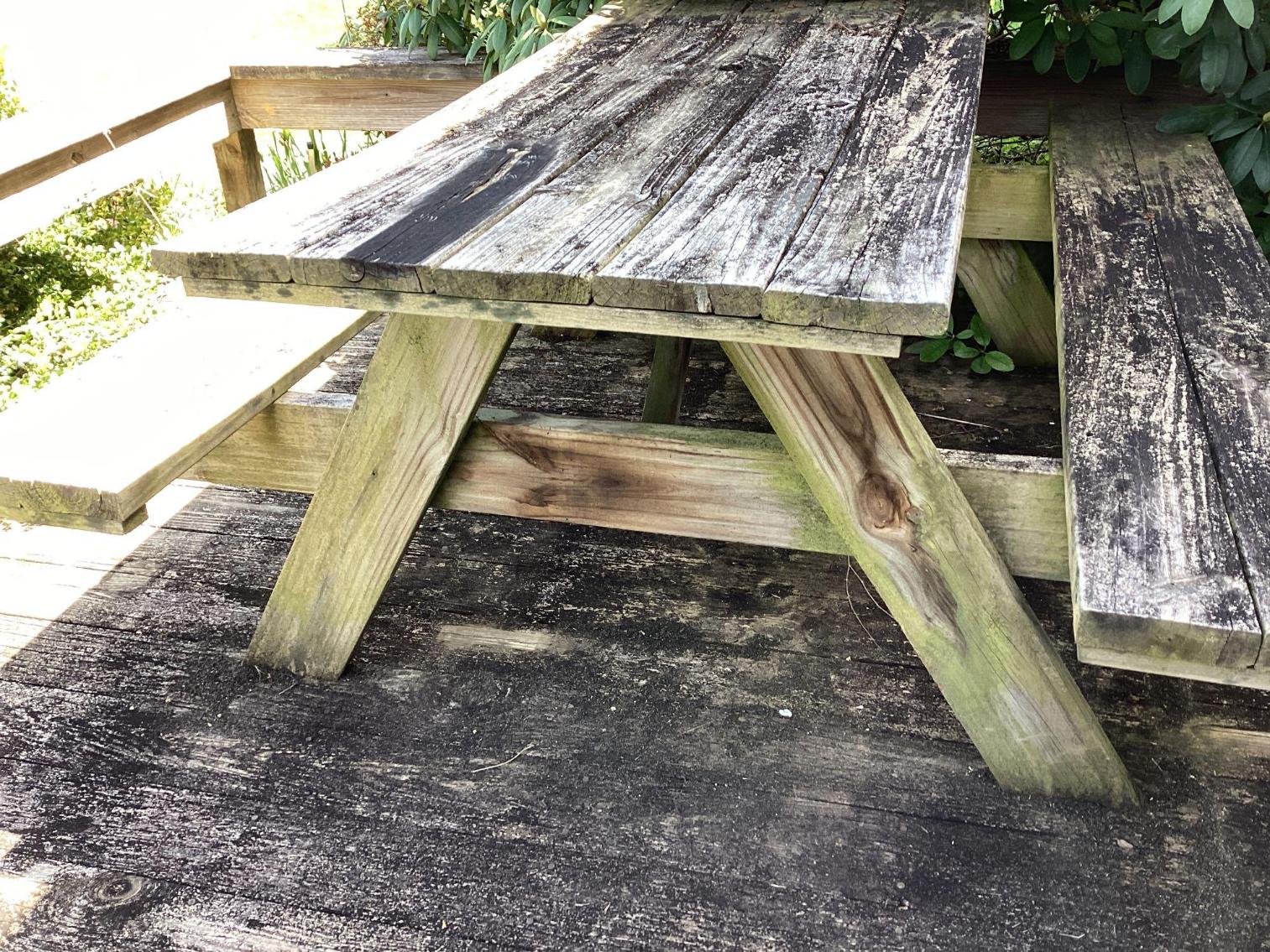 Image for Picnic Table