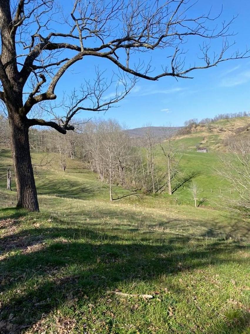 Image for 122.6 Acres (+/-) Cussing Hollow Rd Saltville, VA