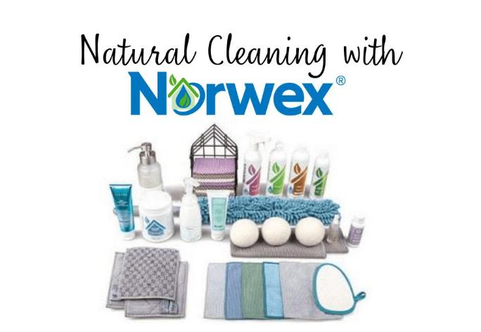 Norwex Kitchen Cleaning Basket: Cleaning without Chemicals!