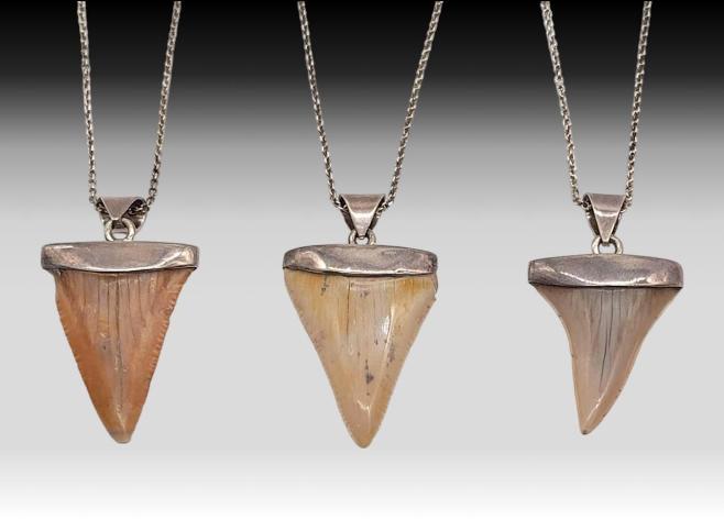 Sterling Silver & Shark Tooth Pendants w/ Sterling Silver Necklace Chains