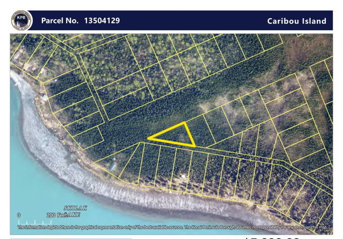 0.45 Acres in Caribou Island - Corner