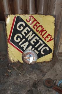 steckley-genetic-giant-36-x-36-metal-sign-and-steckley-metal-spring-therm