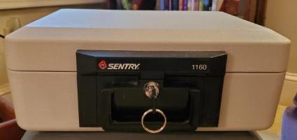 sentry-1160-safe