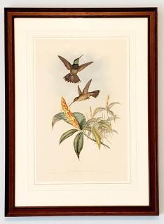 hummingbird-and-floral-print