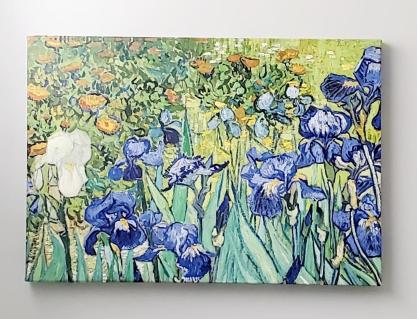 vincent-van-gogh-irises-stretched-canvas-print