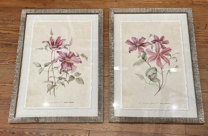 2-pink-clematis-framed-prints